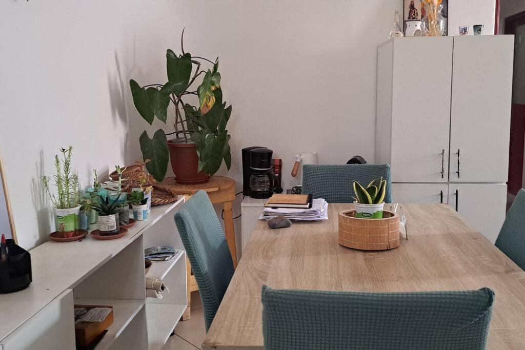 Mendes Family Homestay - B&B In The Heart Of Praia Zewnętrze zdjęcie