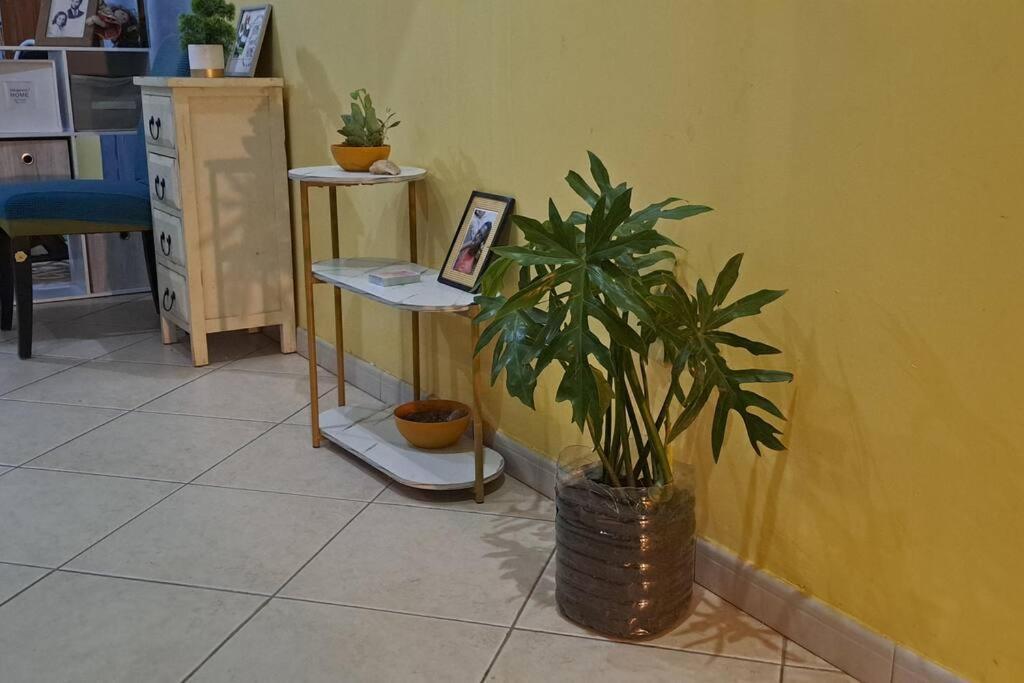 Mendes Family Homestay - B&B In The Heart Of Praia Zewnętrze zdjęcie