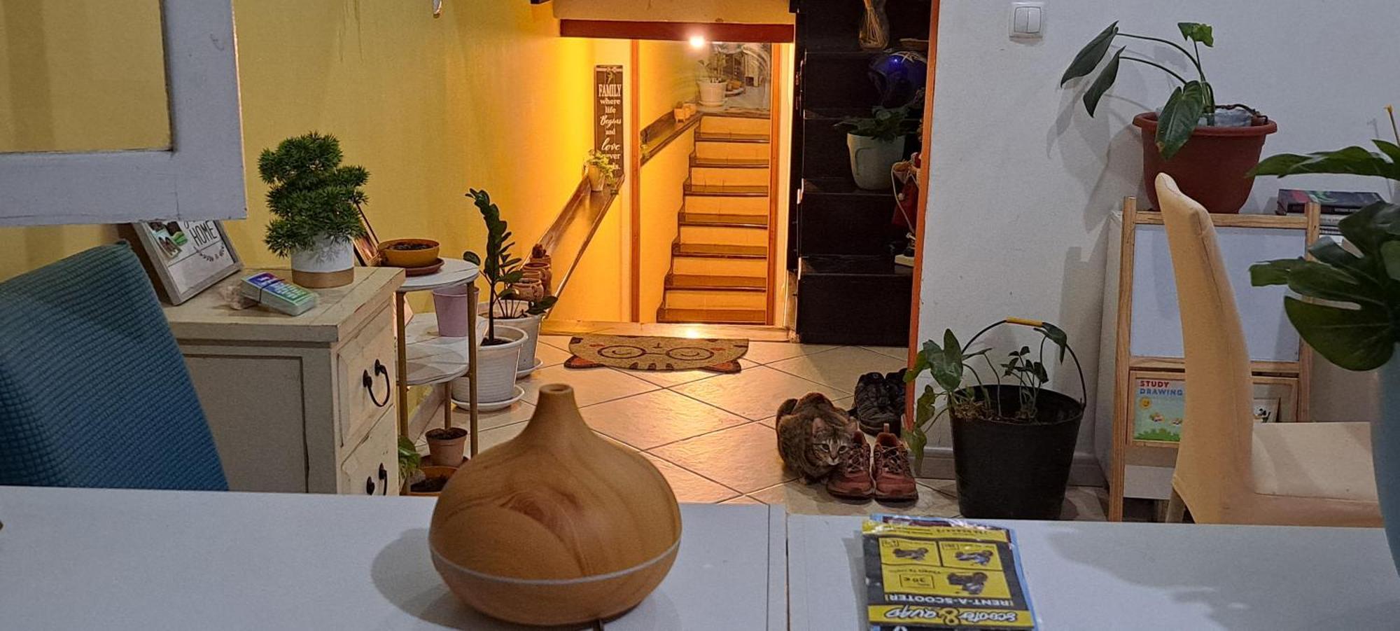 Mendes Family Homestay - B&B In The Heart Of Praia Zewnętrze zdjęcie